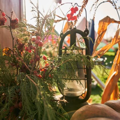 Five seasons (Christmas, Winter, Spring, Summer, Fall)